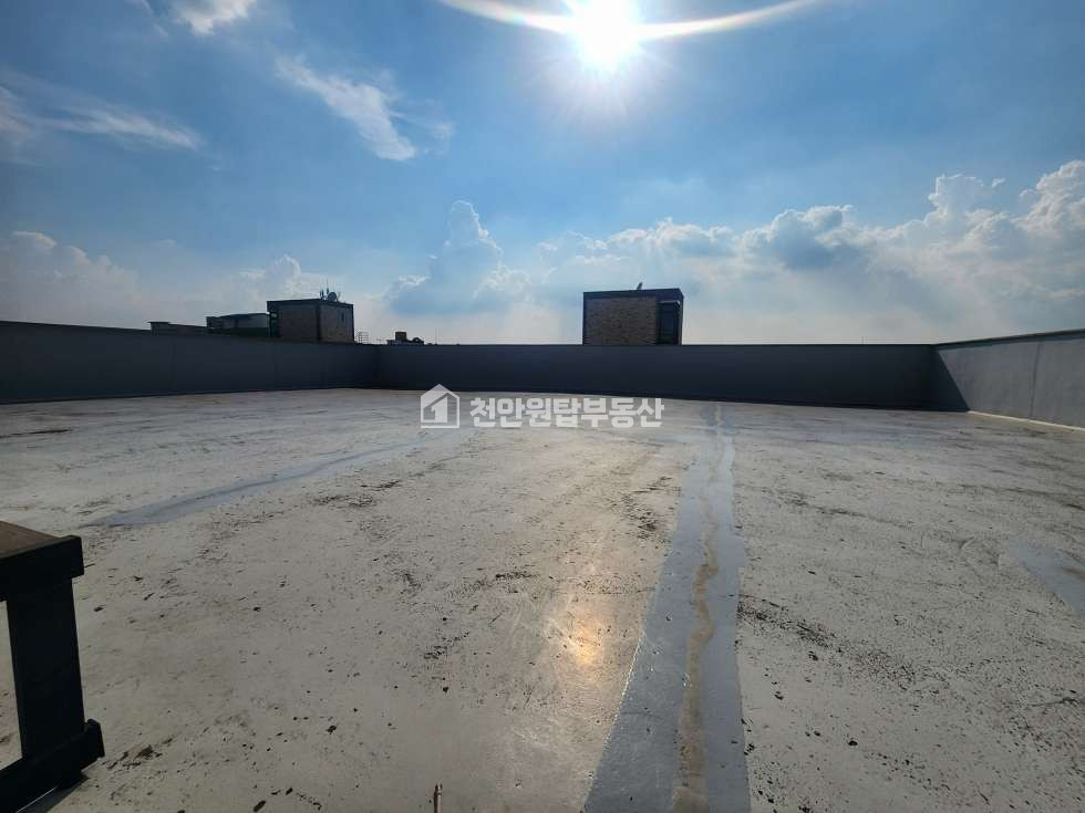 충남 천안서북구 입장면 하장리 수익률 좋은 입장 다가구건물 매매 매물번호 10521 사진 5